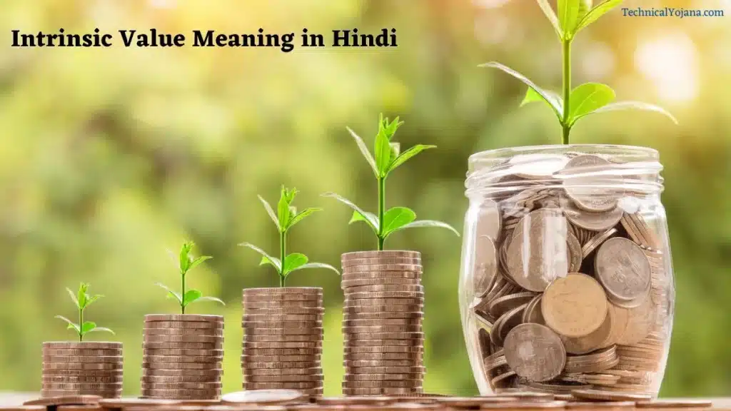 Intrinsic Value Meaning in Hindi