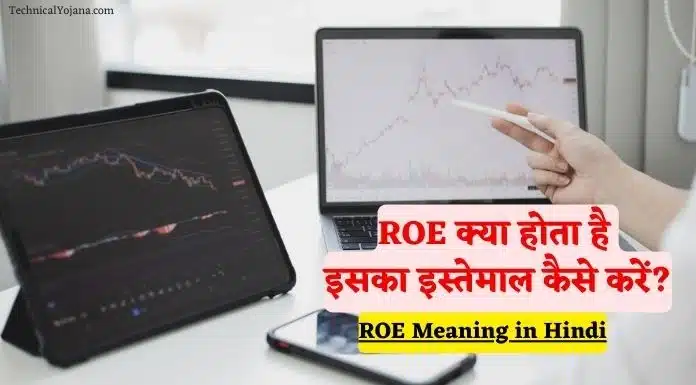 ROE Meaning in Hindi